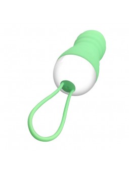 Brightgreen Huevo Vibrador Control Remoto USB Silicona