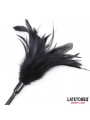 Multi Feathers Tickler and Lace Ribbon Paddle Comb