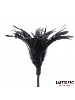 Multi Feathers Tickler and Lace Ribbon Paddle Comb
